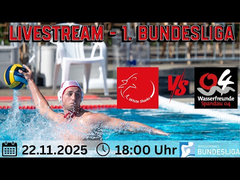 1. Bundesliga  White Sharks vs. Wasserfreunde Spandau 04 | 5. Spieltag 2025/2026