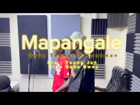 Gody Tennor x Kushman - Mapangale (Visualizer)