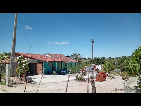 SÍTIO VARZEA DO GADO MUNICÍPIO DE CALÇADO-PE VEJAM QUE ÁRIA RICA 