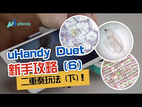 高低倍鏡雙用技巧（下）