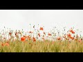 Mogan Aso Borem Hit Sngs Henry Super Konkani Melodies