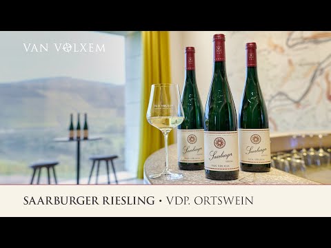 Weingut Van Volxem - die Lage "Saarburger"