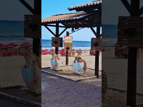 Praia Sítio do Conde (Ba) #litoralnorteba  #bahia