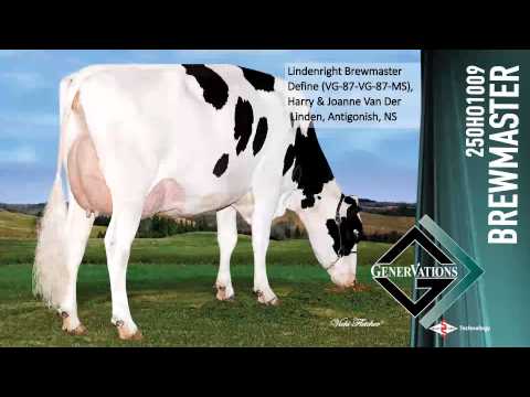 250HO1009 BREWMASTER