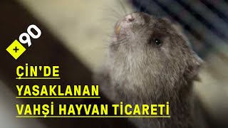 Çin'de yasaklanan vahşi hayvan ticareti  | "Ne yiyebiliriz, ne yiyemey