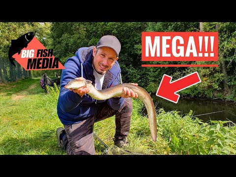 Mega-Aal aus kleinem Bach - Christian im Glück