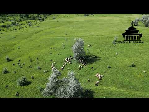 🇷🇴Tisa este un sat din comuna Sângeru, județul Prahova, Muntenia, România 🇷🇴