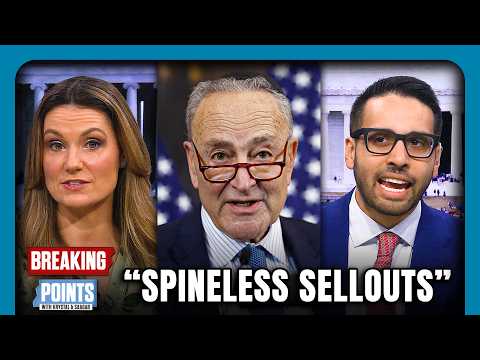 "SPINELESS SELLOUTS!" Dem Voters RAIL Against Their Own Party