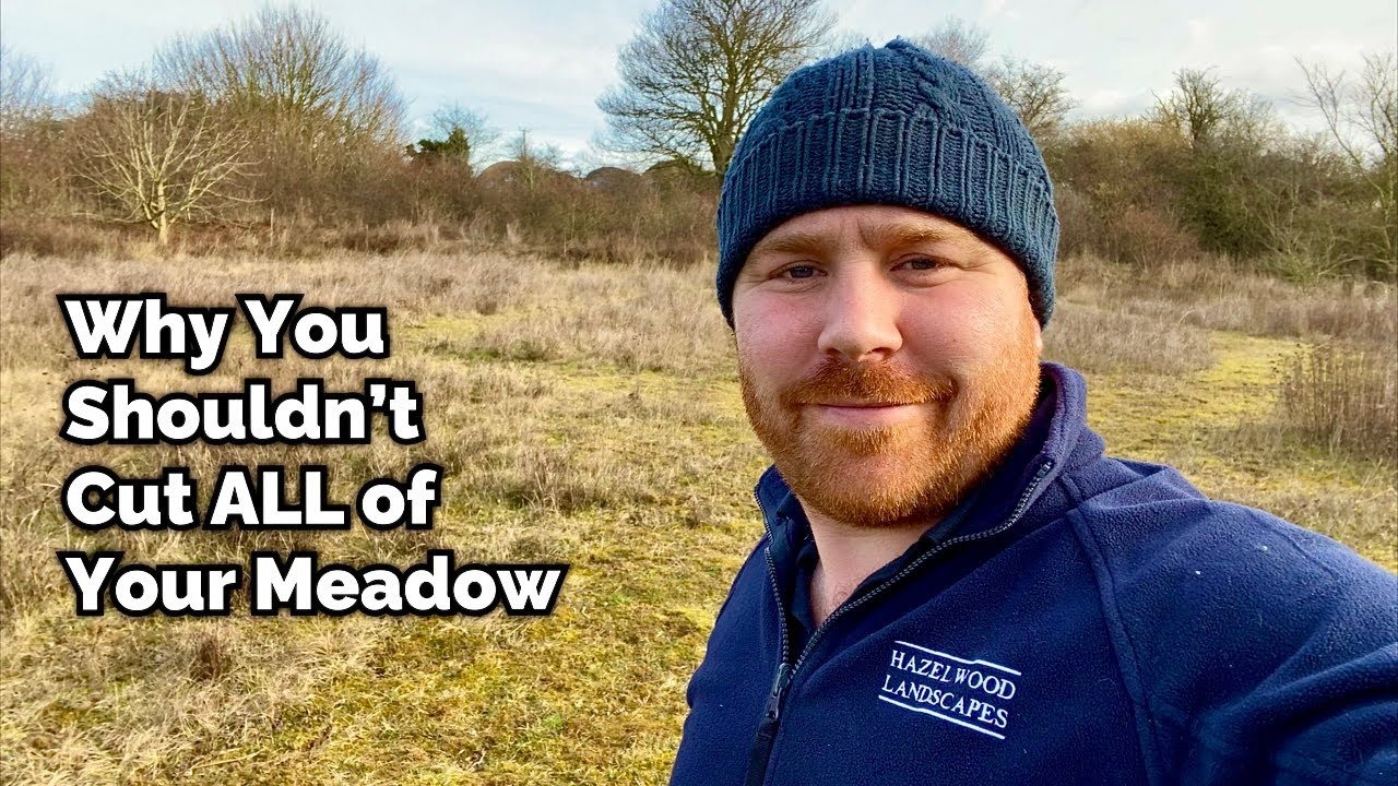 The Wildflower Meadow in Winter - What Does it Look Like?