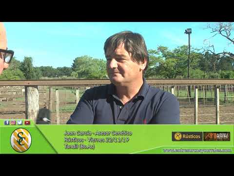 22-11-19 - Juan García -  Asesor Genético  - Rústicos - Tandil