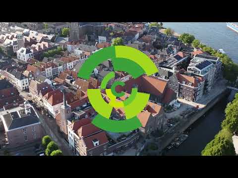 Mammoetboom in Grave mag blijven staan – collegevoorstel voor behoud bij herinrichting Visio-terrein