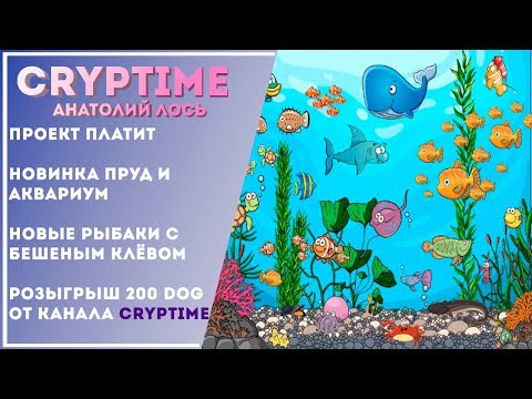 fun-fishermen - Заработок с вложениями. Проект продолжает развиваться. Обзор Новинок