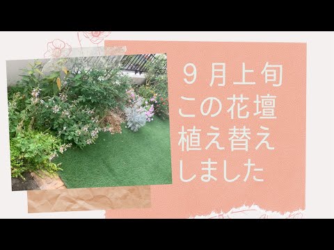 9月のシルバーキャンドル 植物