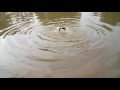 Somoyer Biborton Bangla Short Film Shere Bangla Agricultural University
