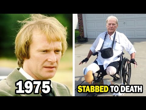 The Sweeney (1975–1978) Cast Then and Now, You'd Never Recognize!