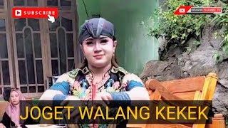 Download lagu DUA JATIL CANTIK JOGET WALANG KEKEK DI SEPRAHU RT 34 RW 12 DS SEGULUNG DAGANGAN  mp3