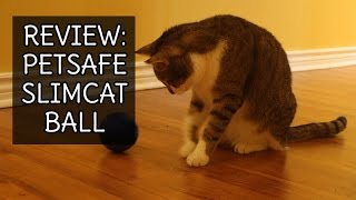 REVIEW: PetSafe Slimcat Interactive Toy and Food Dispenser