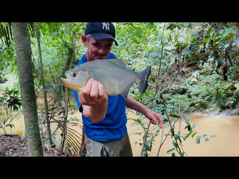 A Gaucho from Pará in command: Solo fishing and guaranteed piranha broth!