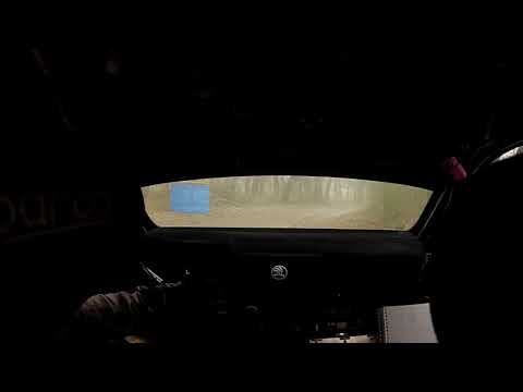 Camera Car Marchioro - Dall'Olmo Ps 4 Rally Valtiberina 2019