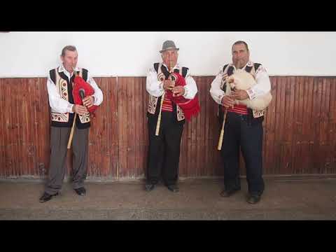 The little flower - Moldavian Romanian Collection - VLACH