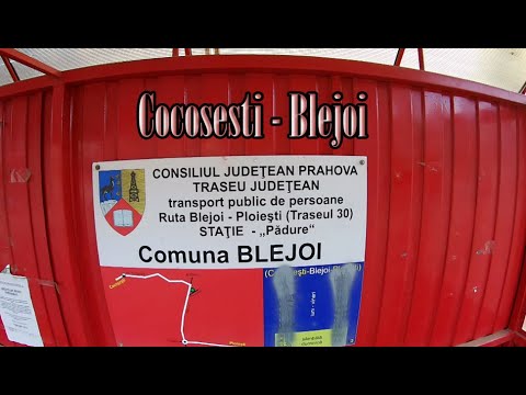Cocoșești - Blejoi