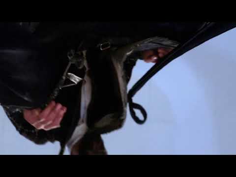 Press Conference MUFFEST 2021