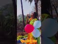 Naam Iruvar Namakku Iruvar Actress Vaishnavi Arulmozhi Cute Bubbles Video Shorts Reels Ytshorts