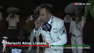 Video de Mariachi Alma Llanera