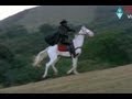 Kondaveeti Donga Songs Jeevithame Oka Aasa Chiranjeevi Radha Vijaya Santhi Ilayaraja
