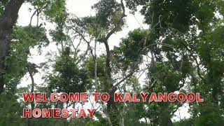 preview picture of video 'ROOM 1 TO 4 - KALYANCOOL HOMESTAY CHIKMAGALUR'