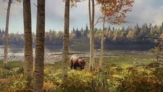 VideoImage1 theHunter: Call of the Wild - Revontuli Coast