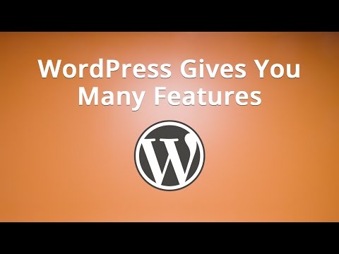 WordPress Gives You Many Features