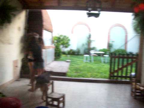 denu i el perro, (enemigo)