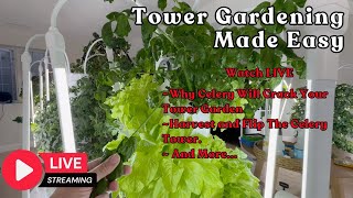 Tower Gardening Made Easy LIVE CAM #towergarden #hydroponicgardening #garden #farm #aeroponic