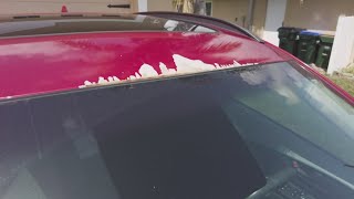 Thousands of drivers report car paint peeling off in sheets
