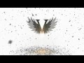 Vanessa Phoenix Brand Animation