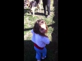 Ella And Bradford Feeding Beagles At Cindys