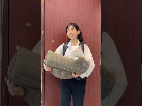 Simran ko mili cat. 🐱🥹❤️‍🩹 (part-1) | Simran Makhija | #shorts #school #schoollife #sad