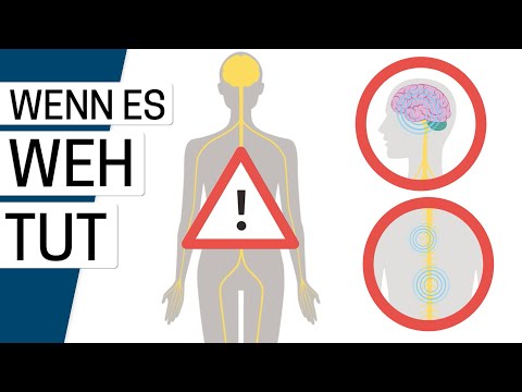 Wie entsteht Schmerz?