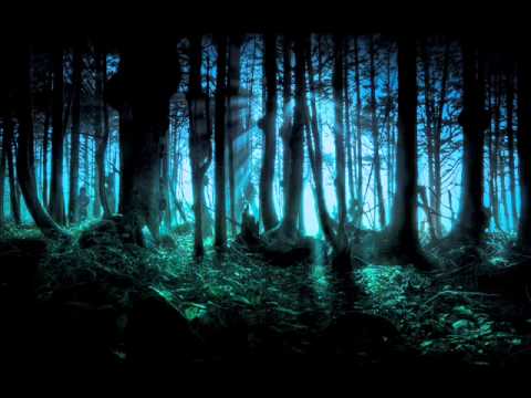 Frederic Chopin - Mysterious Forest