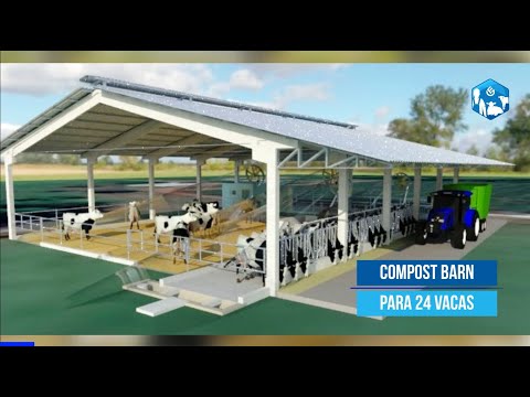 Compost Barn para 24 vacas dá retorno? Claro que sim!