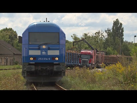 Freie Fahrt für Holz bei der Preßnitztalbahn - Güterverkehr im Harzer Vorland | Eisenbahn-Romantik