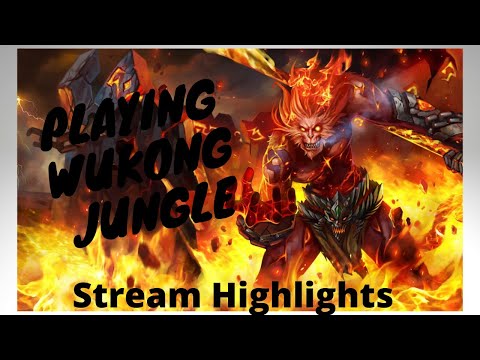 What to do as Wukong JUNGLE