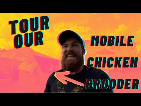 Tour Our Mobile Chicken Brooder