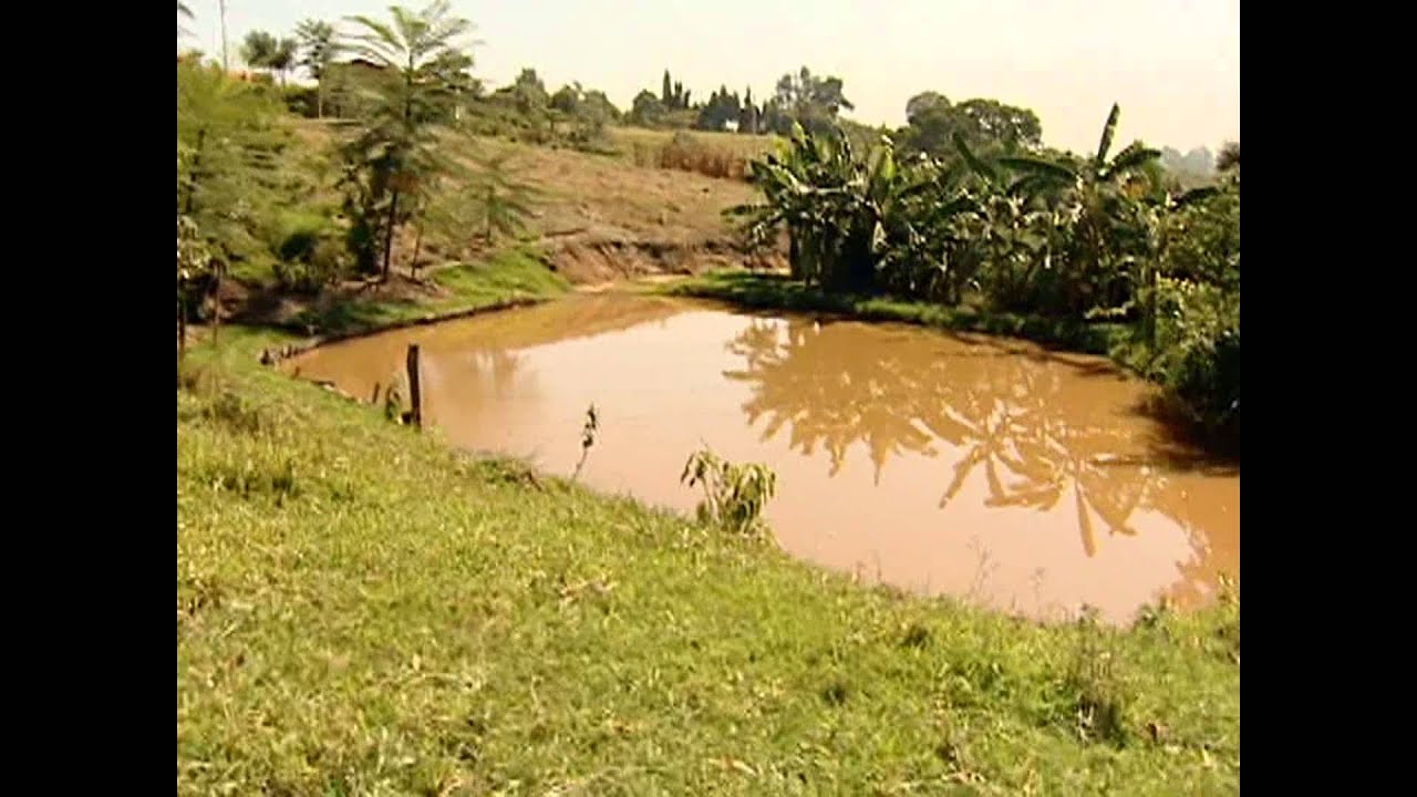 Nascentes - A preservação das águas começa aqui.