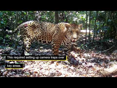 Ecological Corridor Announcement: Monte Carmelo Municipal Protected Area