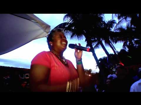DJ Micks ft Robin Latimore live - First To Say Goodbye TRIBE WMC Pool Party 2011