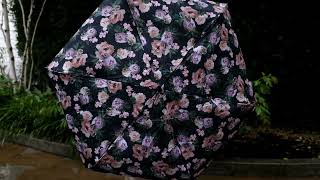 Видеообзор Женский зонт Fulton Tiny-2 L501 - Rococo Rose (Роза рококо)