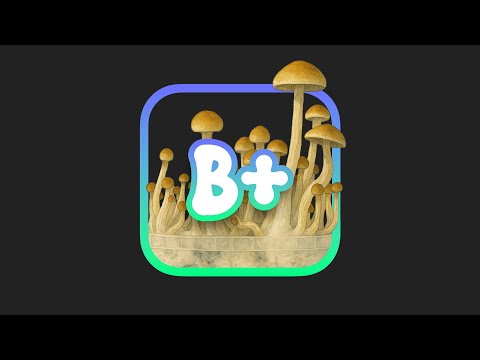 B+ Mushrooms Explained: The Ultimate Guide to This Popular Strain