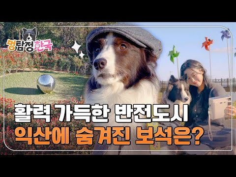 비디오 2